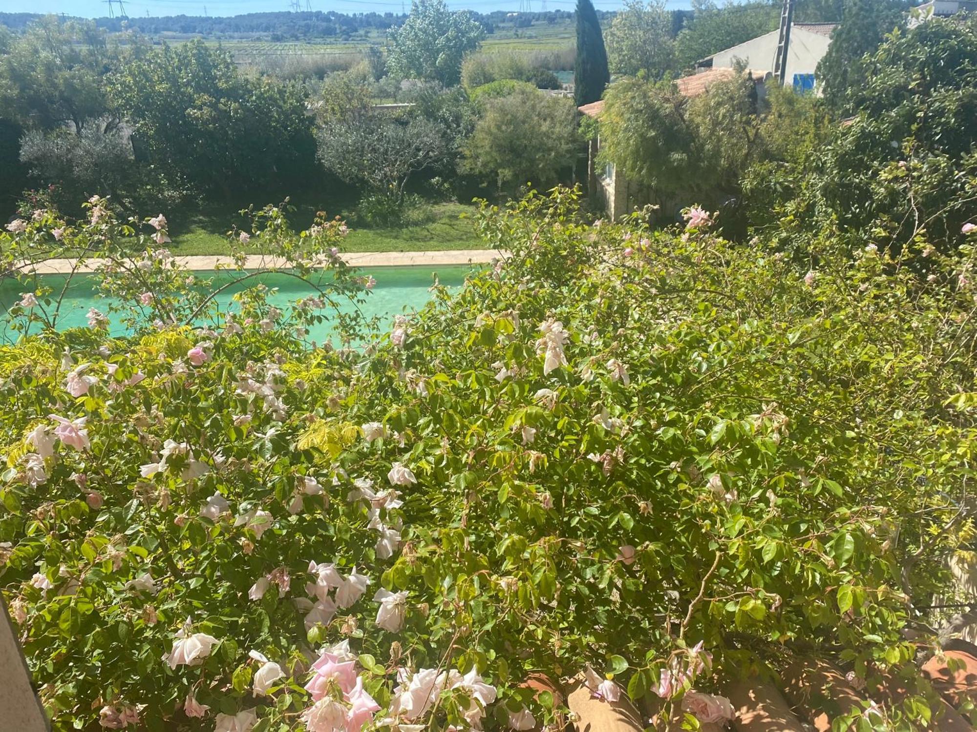 Le Mas Des Oliviers Martigues Extérieur photo