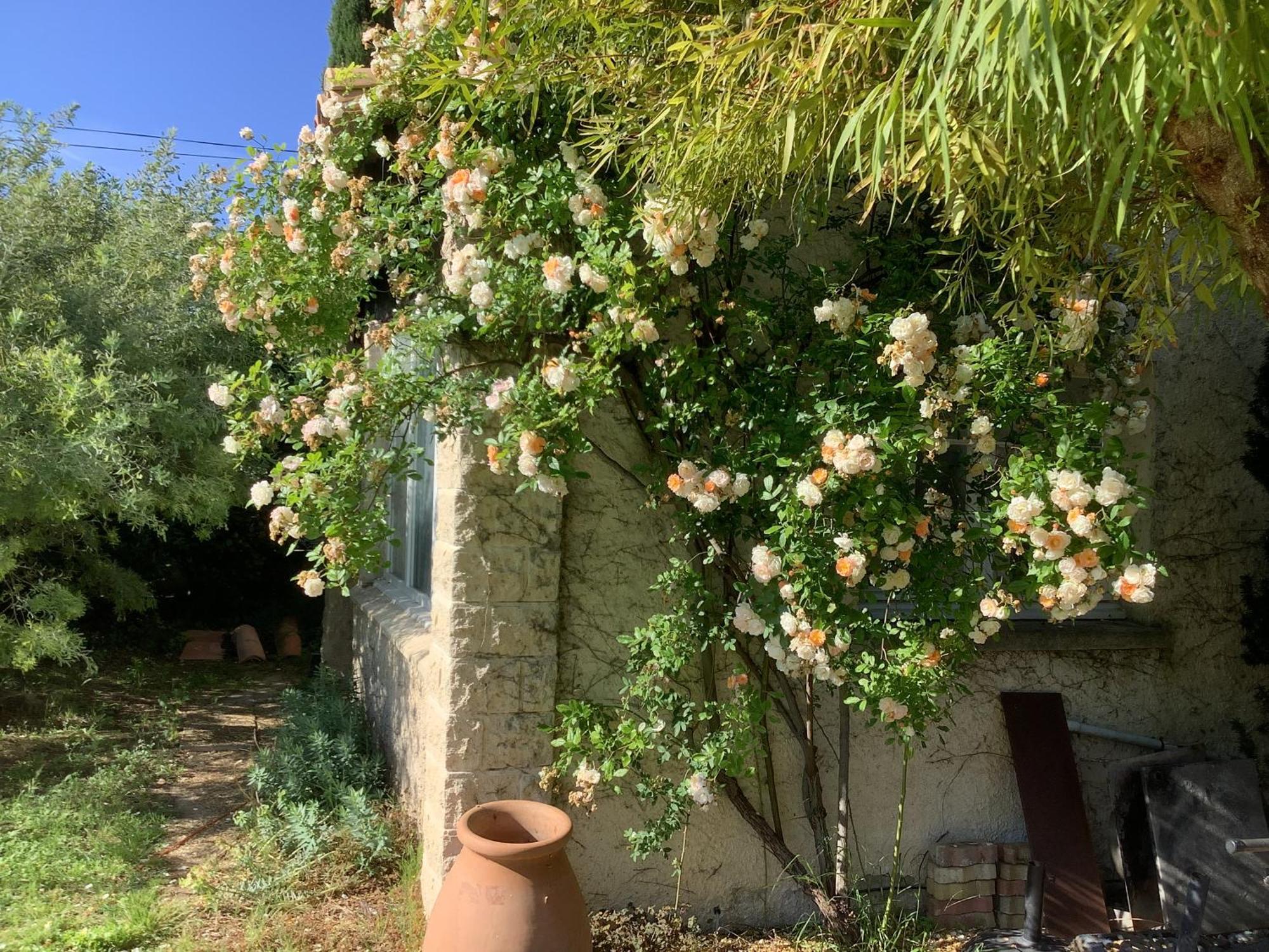 Le Mas Des Oliviers Martigues Extérieur photo